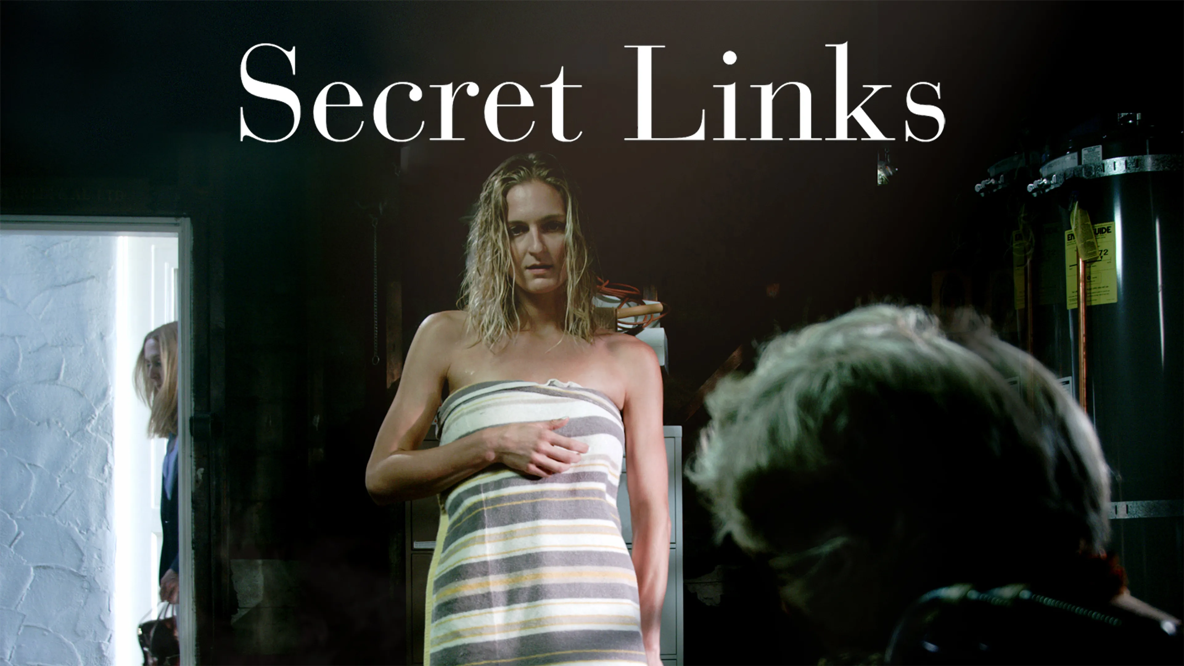 Secret Links poster